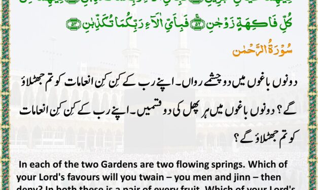 Surah Ar-Rahman – Ayah 50-53