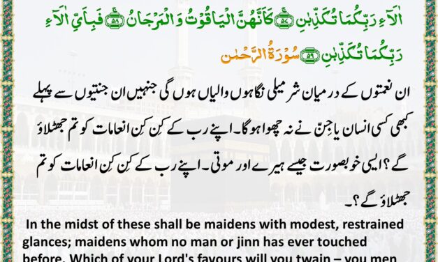 Surah Ar-Rahman – Ayah 56-59