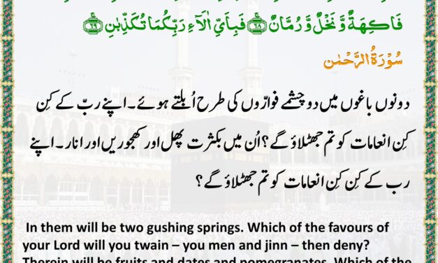Surah Ar-Rahman – Ayah 66-69