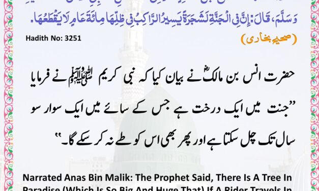 Sahih Bukhari – 3251