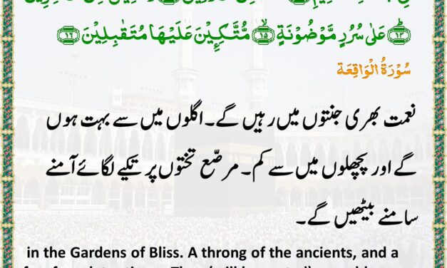 Surah Al-Waqi’ah – Ayah 12-16