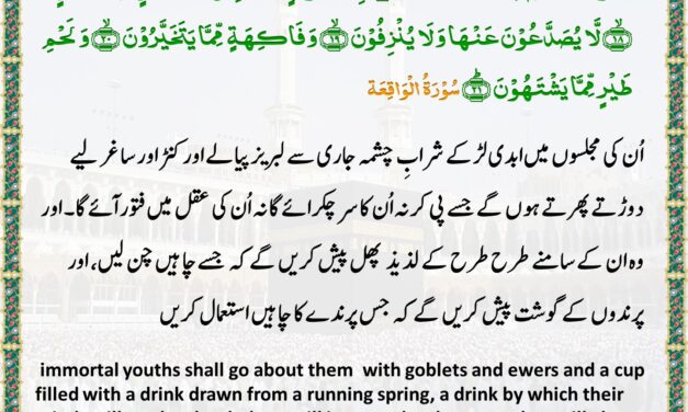 Surah Al-Waqi’ah – Ayah 17-21