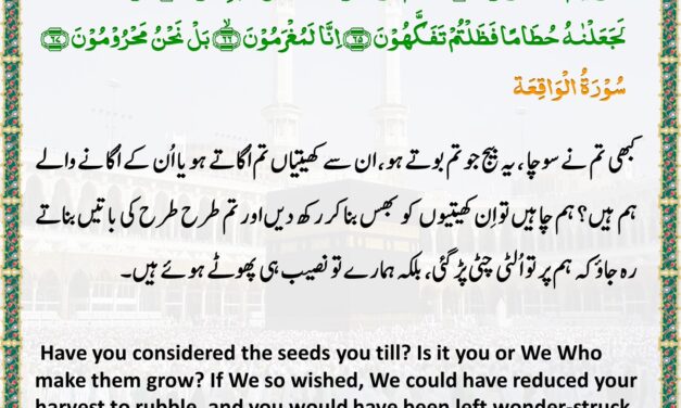 Surah Al-Waqi’ah – Ayah 63-67