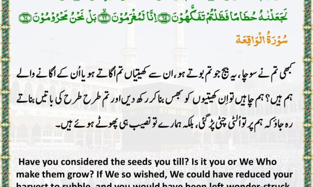 Surah Al-Waqi’ah – Ayah 63-67