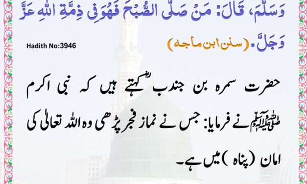 Sunan Ibn Majah – 3946