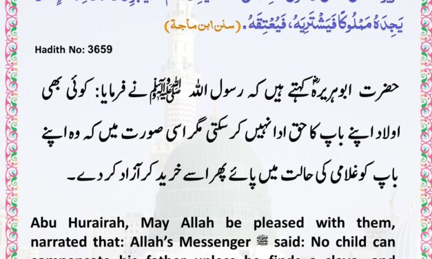 Sunan Ibn Majah – 3659