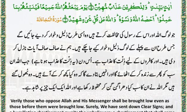 Surah Al-Mujadila – Ayah 5-6