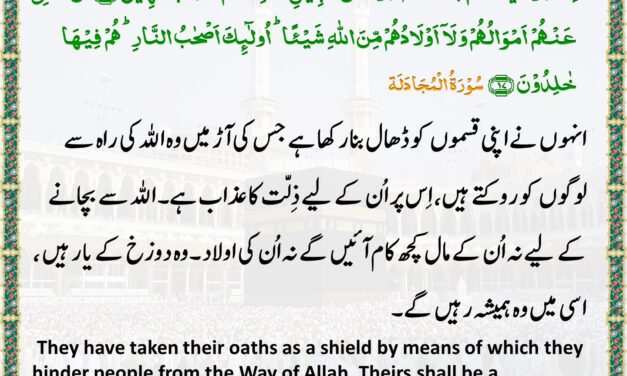 Surah Al-Mujadila – Ayah 16-17