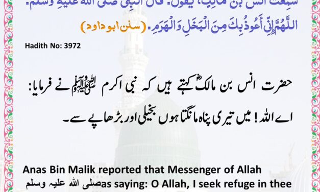 Sunan Abu Dawood – 3972