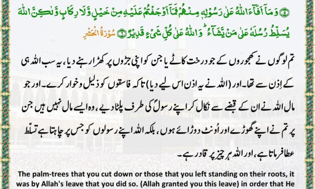 Surah Al-Hashr – Ayah 5-6