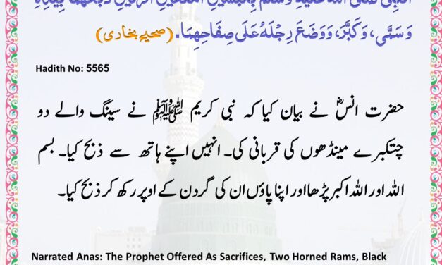 Sahih Bukhari – 5565