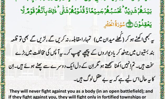 Surah Al-Hashr – Ayah 14