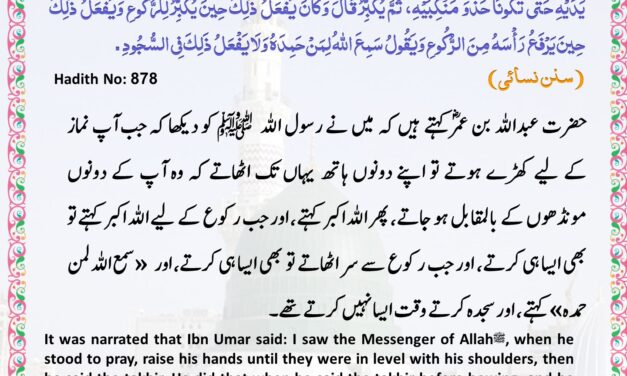 Sunan Nisai – 706