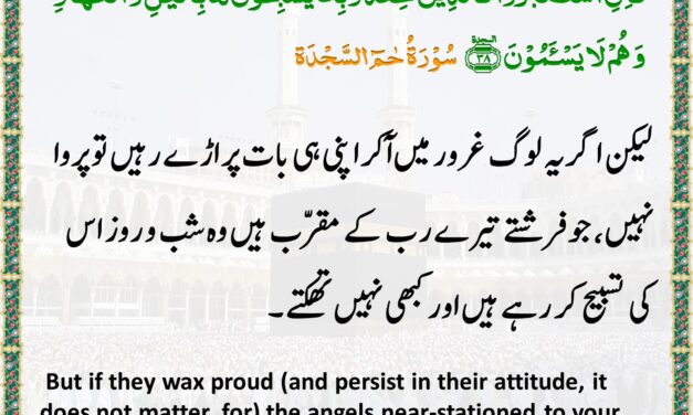Surah Ha Meem Sajda – Ayah 38