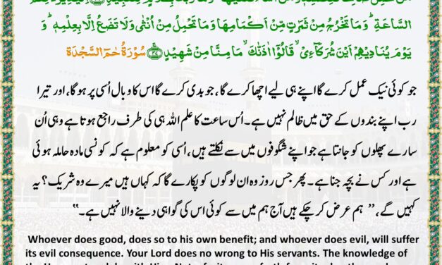Surah Ha Meem Sajda – Ayah 46-47