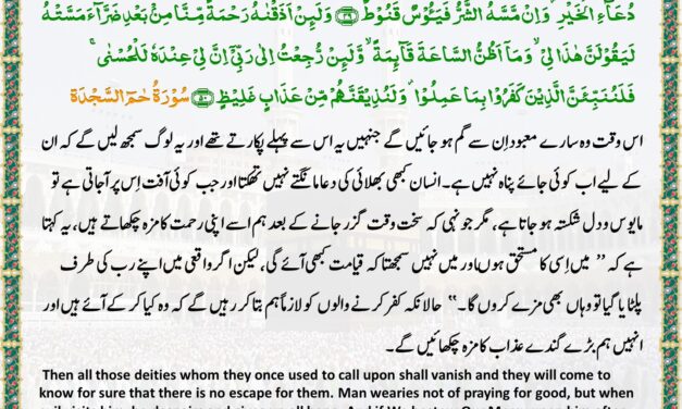 Surah Ha Meem Sajda – Ayah 48-50