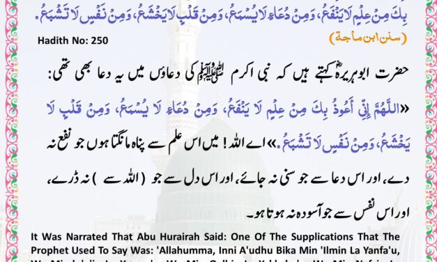 Sunan Ibn Majah – 250