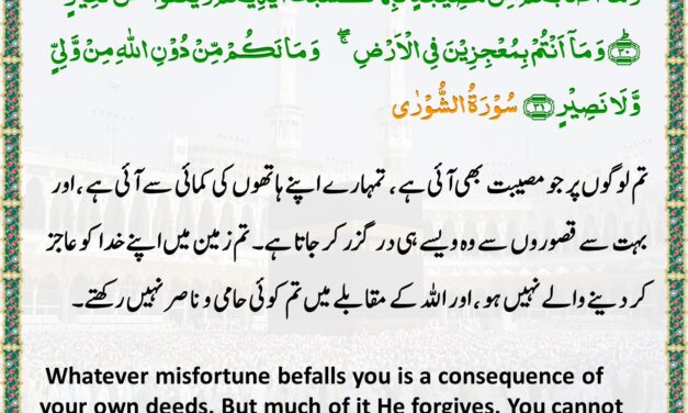 Surah Ash-Shuraa – Ayah 30-31