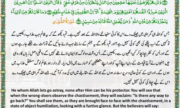 Surah Ash-Shuraa – Ayah 44-46