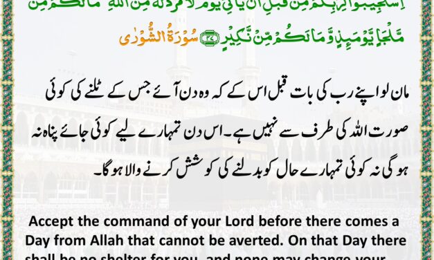 Surah Ash-Shuraa – Ayah 47