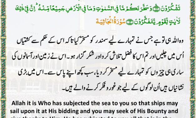 Surah Al-Jathiyah – Ayah – 12-13
