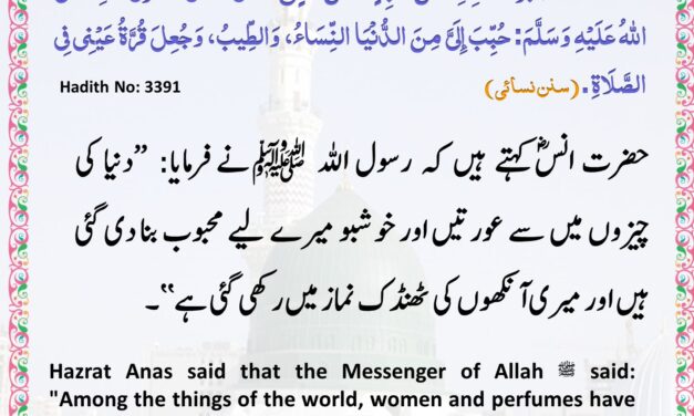 Sunan Nisai – 3391