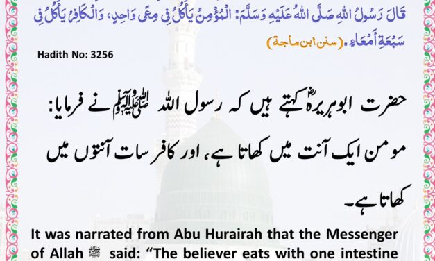 Sunan Ibn Majah – 3256