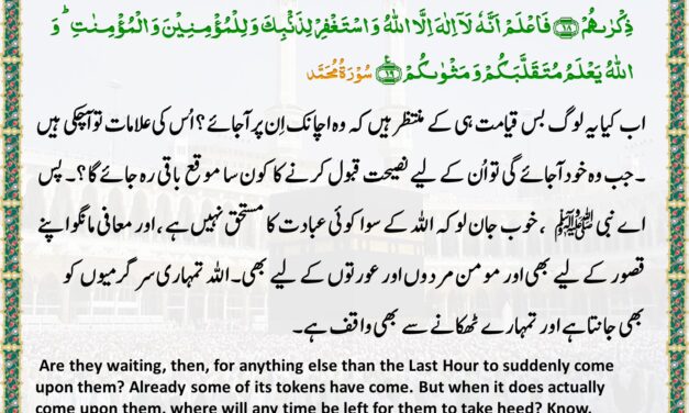 Surah Muhammad – Ayah 18-19