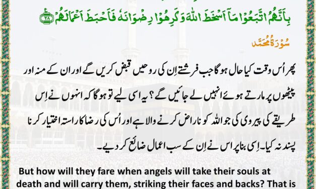 Surah Muhammad – Ayah 27-28