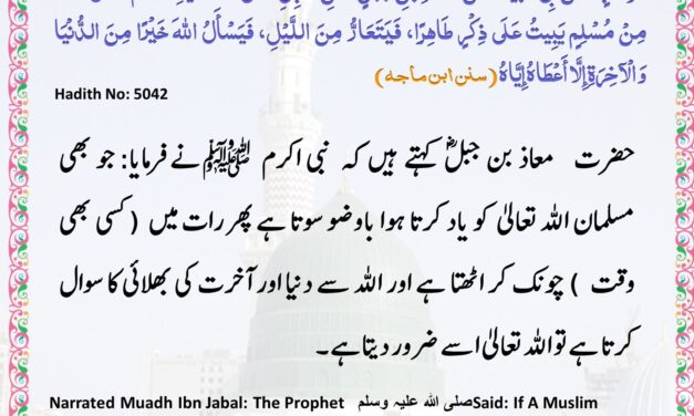 Sunan Ibn Majah – 5042