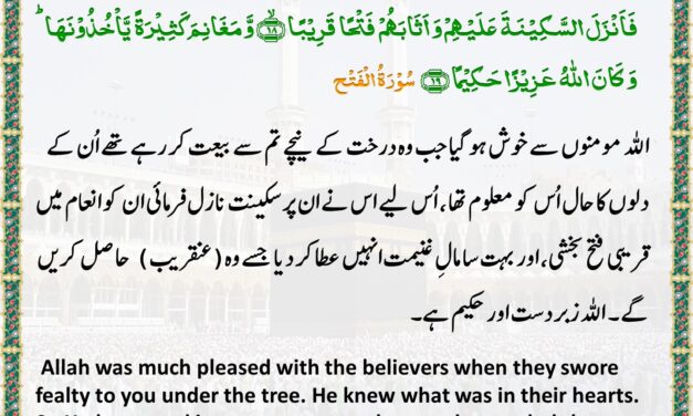 Surah Al-Fath – Ayah 18-19