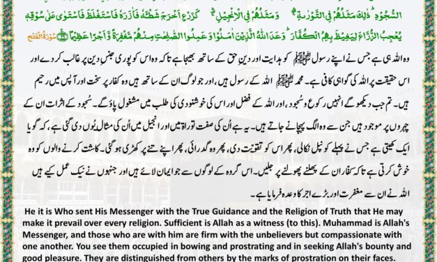 Surah Al-Fath – Ayah 28-29