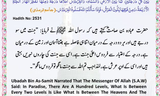 Jamia Tirmizi – 2531