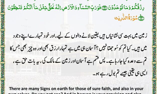 Surah Adh-Dhariyat – Ayah 20-23
