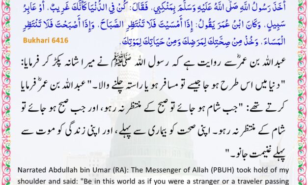 Sahih Bukhari – 6416