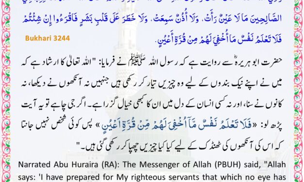 Sahih Bukhari – 3244