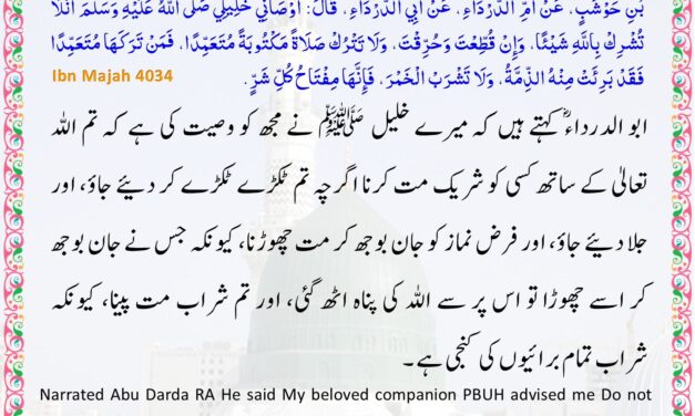 Sunan Ibn Majah – 4034