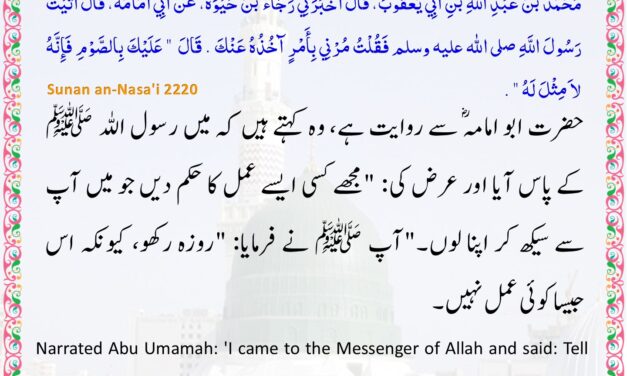 Sunan Nisai – 2220
