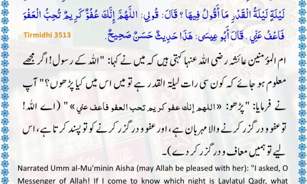 Jamia Tirmizi – 3513
