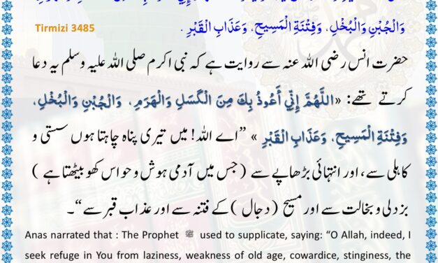 Jamia Tirmizi – 3485