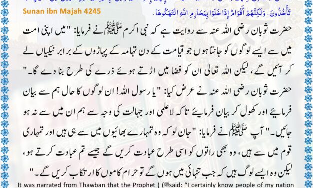 Sunan Ibn Majah – 4245