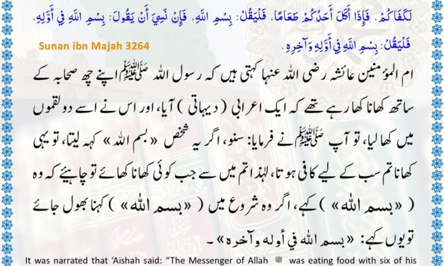 Sunan Ibn Majah – 3264