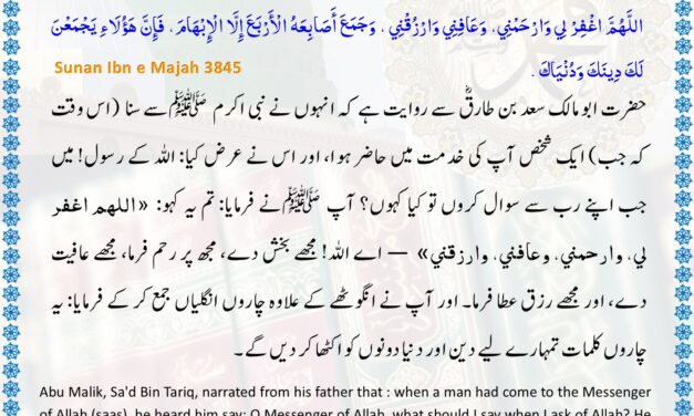 Sunan Ibn Majah – 3845