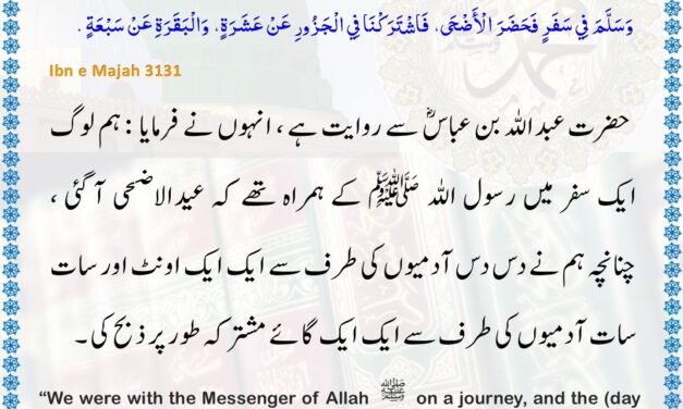 Sunan Ibn Majah – 3131
