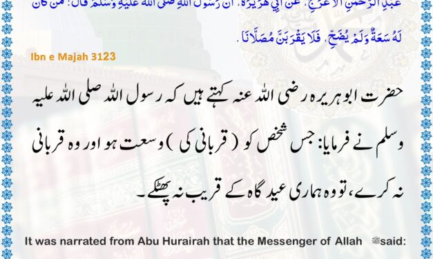Sunan Ibn Majah – 3123