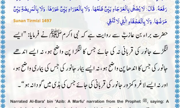 Jamia Tirmizi – 1497