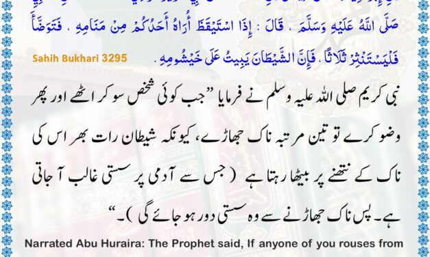 Sahih Bukhari – 3295