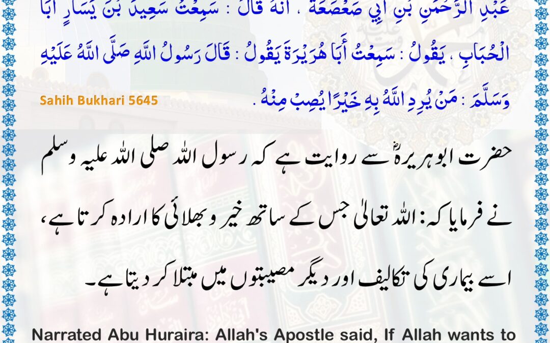 Sahih Bukhari – 5645