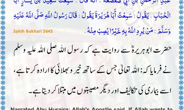 Sahih Bukhari – 5645