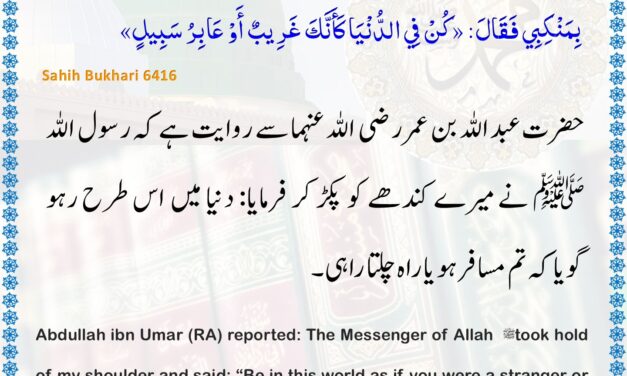 Sahih Bukhari – 6416